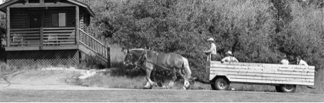 ZionPonderosa3