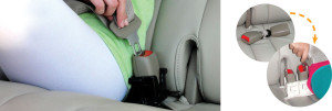 bucklemate1