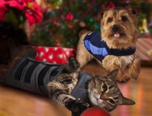holiday_thundershirt