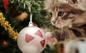 pets_tree