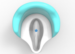 pottywiz2