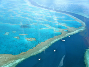 thegreatbarrierreef