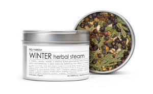 winter-steam_2